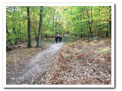 2020 10 26 Bas Breau