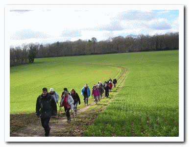 2016 02 15 Boissy le Cuttte