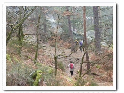2016 03 14 Fontainebleau Le Bas Breau