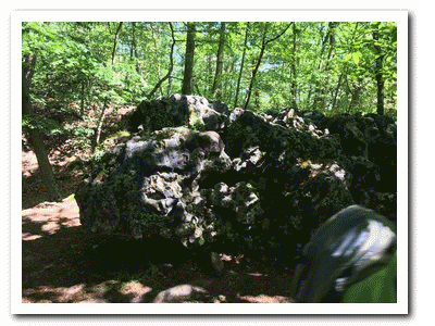 2018 05 07 Fontainebleau Roche eponge