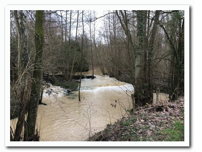 2019 02 11 Aubetin