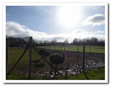Carnetin lagny 2019 03 18